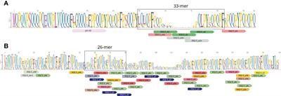 Unraveling the celiac disease-related immunogenic complexes in a set of wheat and tritordeum genotypes: implications for low-gluten precision breeding in cereal crops